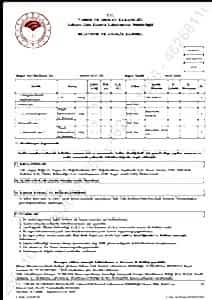 38bb46a1-f1f5-48dc-abed-082019260d00.JPG